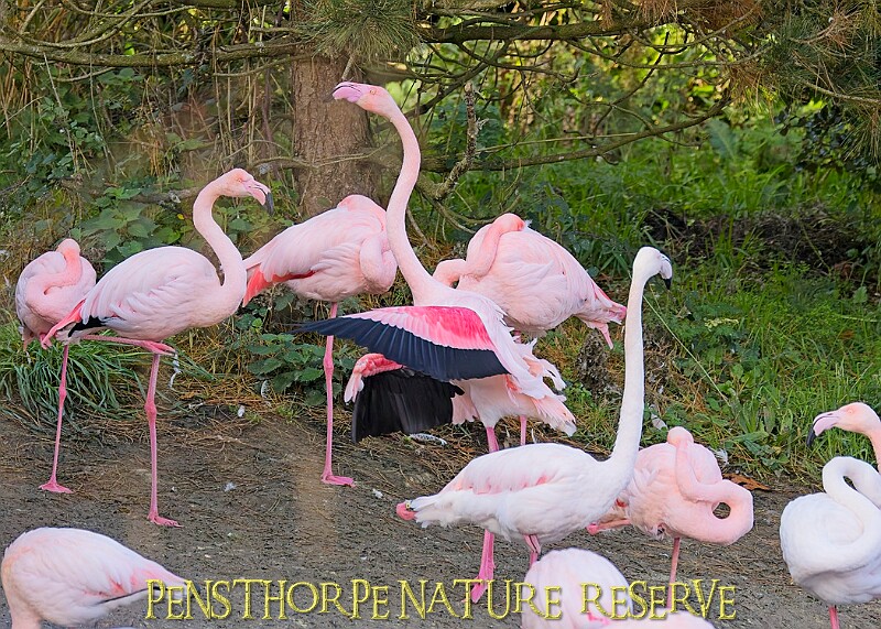 20251113PENSNOV00219A.JPG