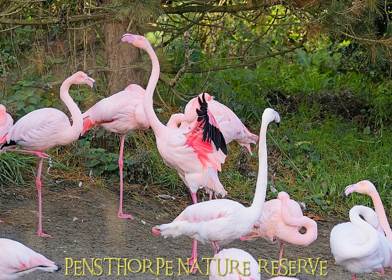 20251113PENSNOV00220A.JPG