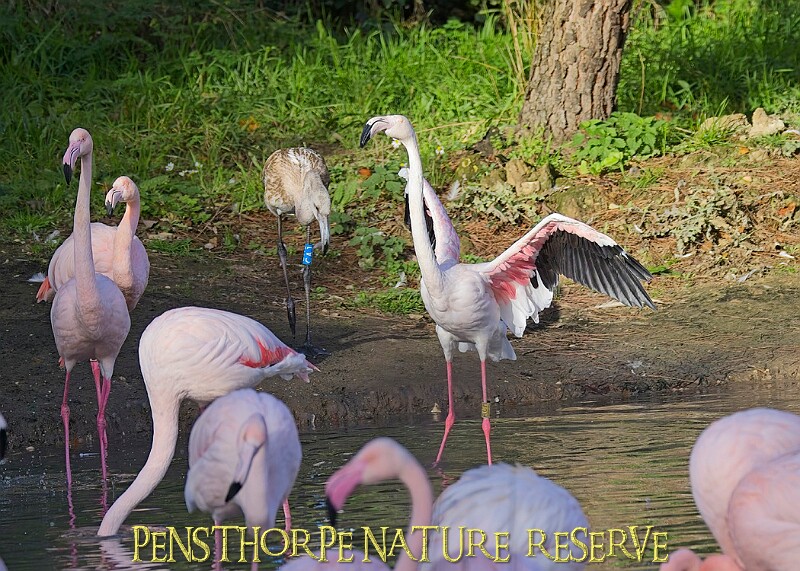 20251113PENSNOV00226A.JPG