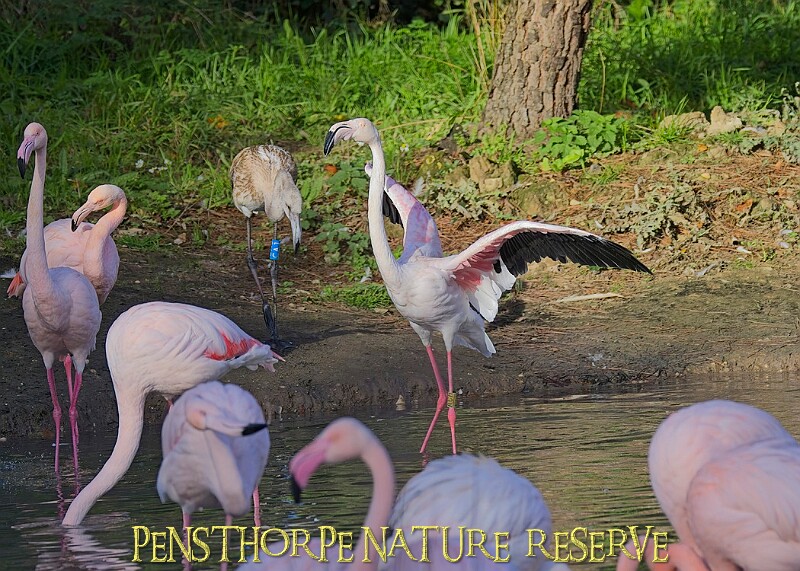 20251113PENSNOV00227A.JPG