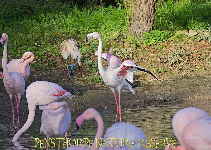 20251113PENSNOV00228A.JPG