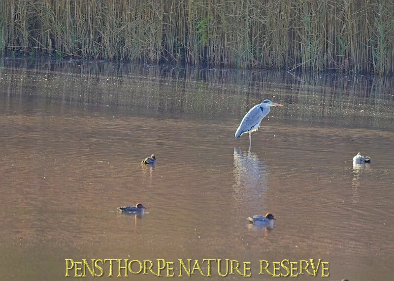 20251113PENSNOV00248A.JPG