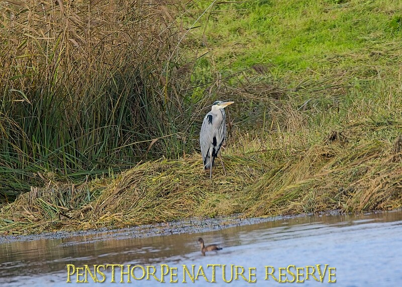 20251113PENSNOV00333A.JPG