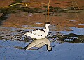 20251113PENSNOV00009A