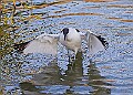 20251113PENSNOV00037A