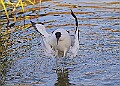 20251113PENSNOV00038A