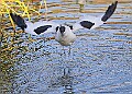 20251113PENSNOV00040A