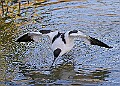 20251113PENSNOV00043A