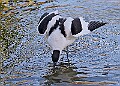 20251113PENSNOV00044A