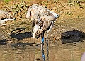20251113PENSNOV00064A