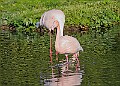 20251113PENSNOV00076A