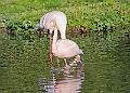 20251113PENSNOV00078A