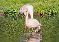 20251113PENSNOV00079A
