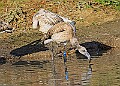 20251113PENSNOV00081A