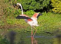 20251113PENSNOV00095A