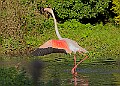 20251113PENSNOV00096A