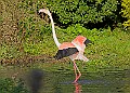 20251113PENSNOV00098A