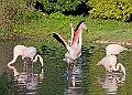 20251113PENSNOV00110A