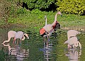 20251113PENSNOV00111A