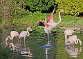 20251113PENSNOV00113A