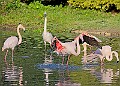 20251113PENSNOV00116A