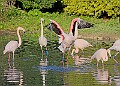 20251113PENSNOV00118A