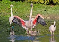 20251113PENSNOV00123A