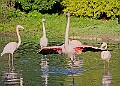 20251113PENSNOV00126A