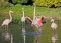 20251113PENSNOV00127A