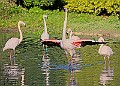 20251113PENSNOV00128A