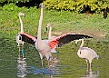20251113PENSNOV00130A