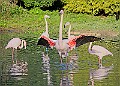 20251113PENSNOV00135A