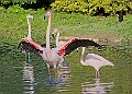 20251113PENSNOV00137A
