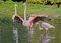 20251113PENSNOV00139A