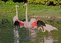 20251113PENSNOV00140A