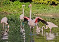 20251113PENSNOV00143A