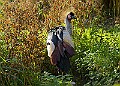 20251113PENSNOV00153A