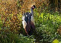 20251113PENSNOV00157A