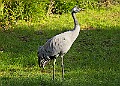 20251113PENSNOV00161A
