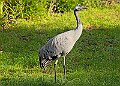 20251113PENSNOV00163A