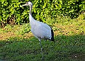 20251113PENSNOV00170A