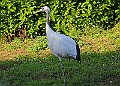 20251113PENSNOV00172A