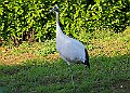 20251113PENSNOV00174A