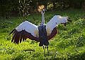20251113PENSNOV00202A