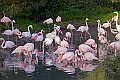 20251113PENSNOV00215A