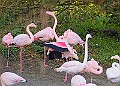20251113PENSNOV00219A