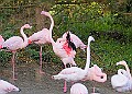 20251113PENSNOV00220A
