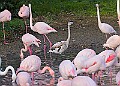 20251113PENSNOV00221A