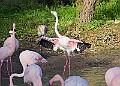 20251113PENSNOV00223A