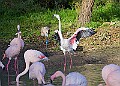 20251113PENSNOV00224A